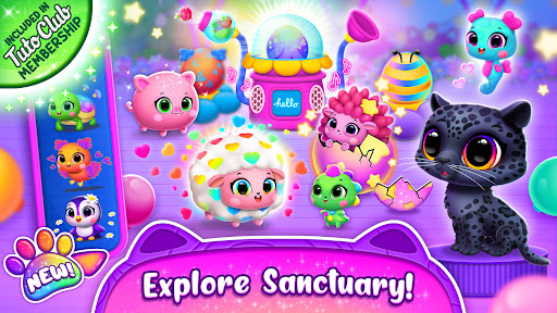 Jungle Floof - Cuidado de mascotas en la isla